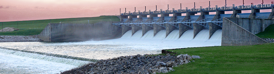SS1-dam SS1-dam